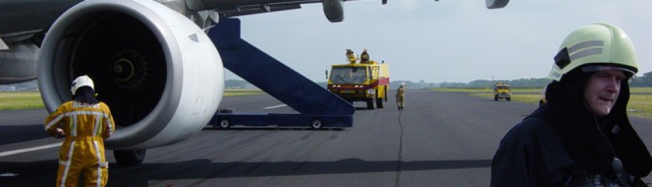 vanwege birdstrike een noodstop
